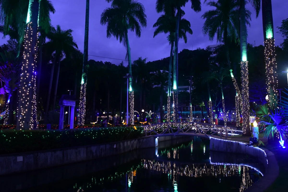 Iluminação de Natal no Parque Moscoso por Carlos Alberto Silva