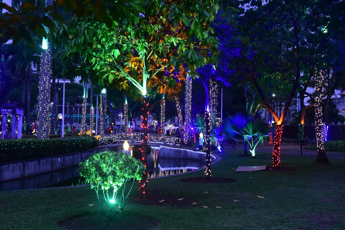 Iluminação de Natal no Parque Moscoso por Carlos Alberto Silva