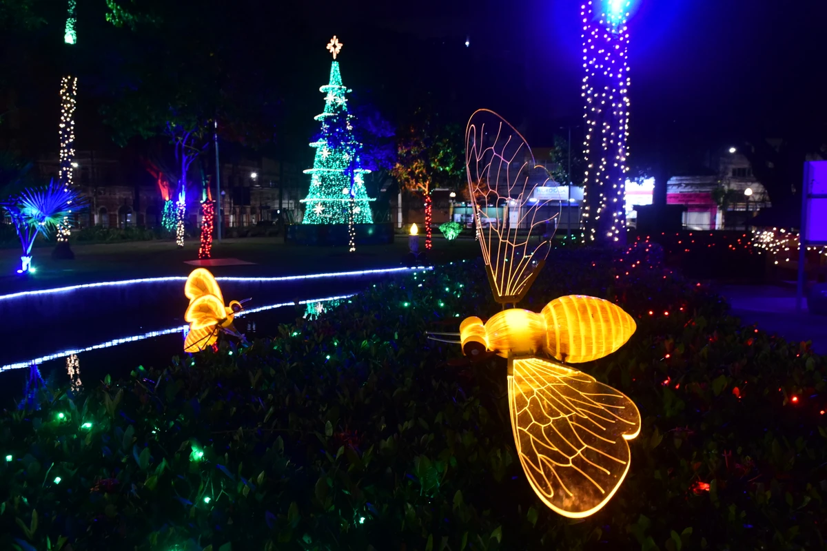 Iluminação de Natal no Parque Moscoso por Carlos Alberto Silva