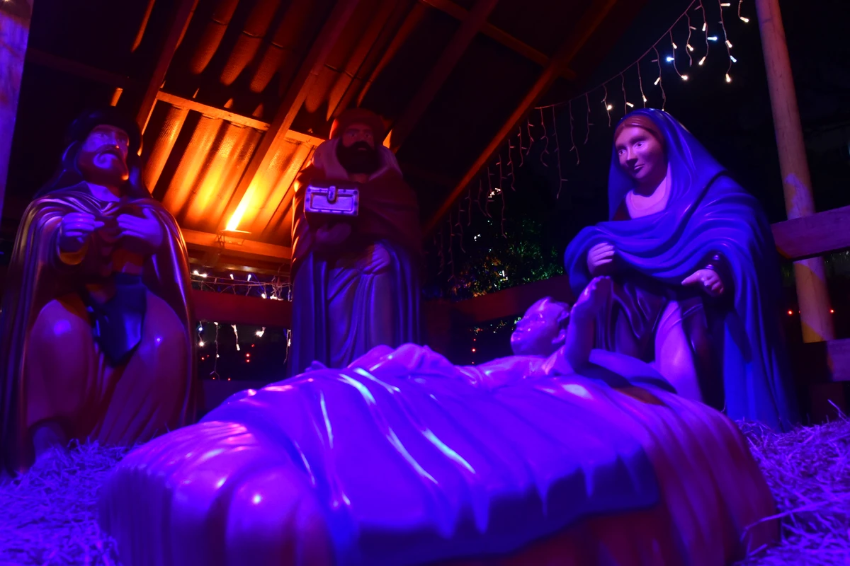 Iluminação de Natal no Parque Moscoso por Carlos Alberto Silva