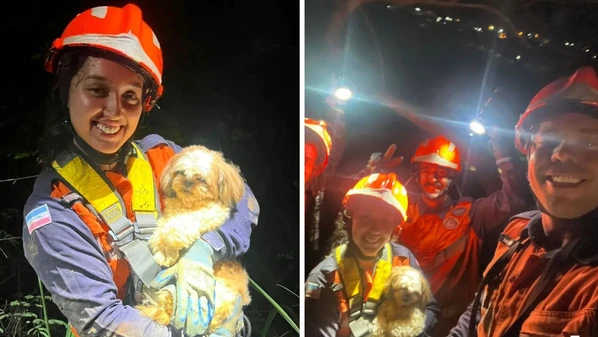 O animal foi localizado em área de difícil acesso e retirado com uso de cordas e técnicas de rapel