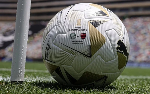 Palmeiras e Flamengo fazem a final da Libertadores neste sábado (29)