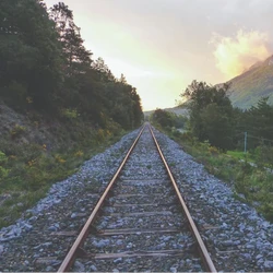 Com potencial de movimentar 24 milhões 
de toneladas por ano, a ferrovia Rio–Vitória pode reduzir custos logísticos, conectar portos estratégicos e ampliar a capacidade exportadora do Espírito Santo