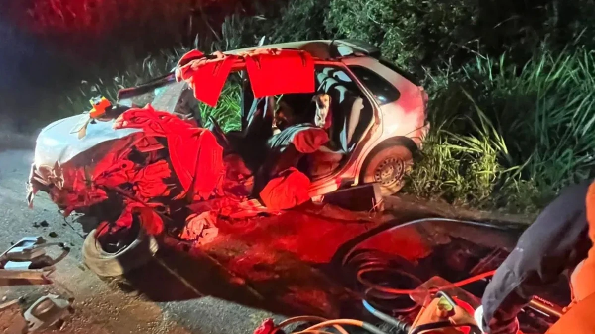 Motorista fica gravemente ferido após colisão entre carro e ônibus na BR-259, em João Neiva