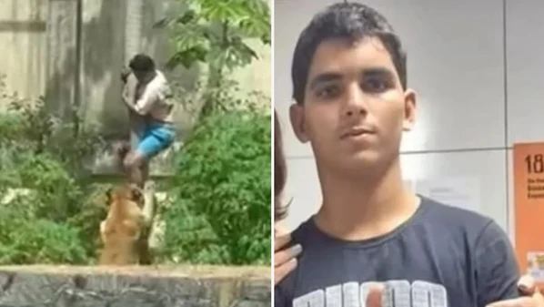 Gerson de Melo Machado "queria ver o animal de perto"; para a delegada, o rapaz não tinha intenção de atentar contra a própria vida, mas de se aproximar dos animais devido à curiosidade
