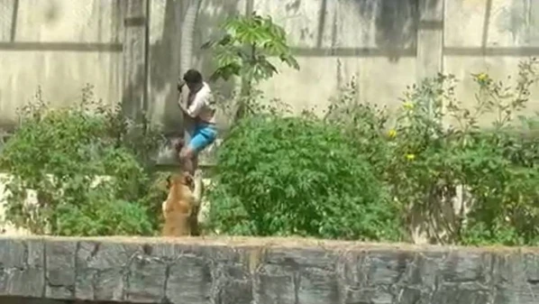 Gerson de Melo Machado tinha diagnóstico de esquizofrenia; ele invadiu a jaula de uma leoa em um zoológico de João Pessoa e acabou morrendo