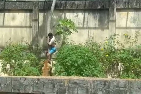 Homem foi devorado por leões em João Pessoa. Ele tinha 19 anos