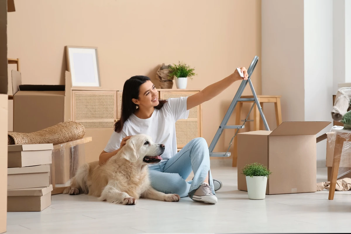 mudar de casa, mudança