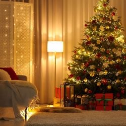 Alguns cuidados ajudam a reduzir o consumo de energia elétrica e diminuir o risco de acidentes