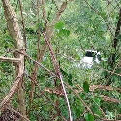 O motorista da Prefeitura de Aracruz também ficou ferido; as três vítimas foram levadas para hospital da região