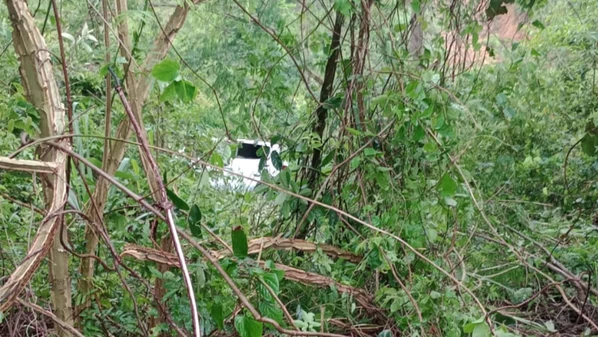 O motorista da Prefeitura de Aracruz também ficou ferido; as três vítimas foram levadas para hospital da região