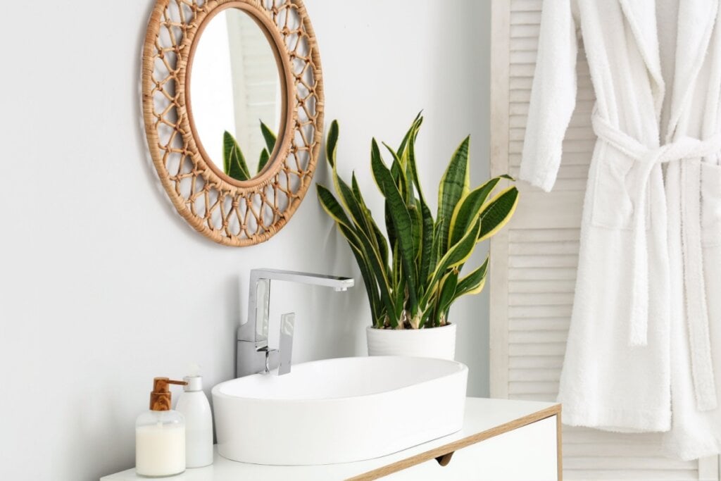 A espada-de-são-jorge se adapta bem a diferentes níveis de luz e ajuda a purificar o ar (Imagem: Pixel-Shot | Shutterstock)