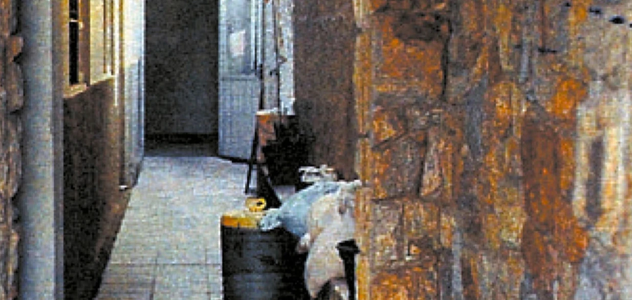 Acusado vivia sem levantar suspeitas na cidade mineira de Conceição de Mato Dentro; crime ocorreu em 2001 após provocações e ameaças entre colegas de trabalho