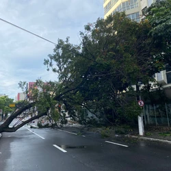Acidente aconteceu na madrugada de quinta-feira (4), após forte temporal que causou transtornos na Grande Vitória; cerca de 50 imóveis na região ficaram sem energia, segundo a EDP
