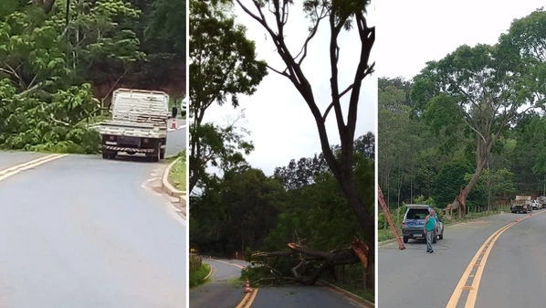 Poste caiu, interrompendo o fornecimento de energia em muitas residências em Muniz Freire; em Castelo, a queda de uma árvore interditou a ES 166, que já foi liberada