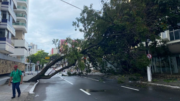 Acidente aconteceu na madrugada de quinta-feira (4), após forte temporal que causou transtornos na Grande Vitória; cerca de 50 imóveis na região ficaram sem energia, segundo a EDP