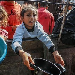 Mais de 350 palestinos morreram desde 10 de outubro em Gaza, onde, seis semanas após o início do cessar-fogo, a situação continua desesperadora para a grande maioria dos habitantes.