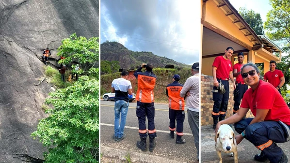 A operação para retirar o animal ocorreu na comunidade de São Cristóvão,  na terça-feira (20) — mas foi divulgada somente nesta sexta-feira (5)