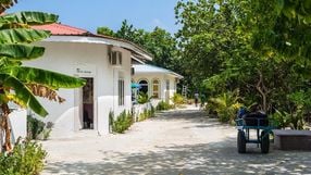 A Gazeta - z1ntypa00r