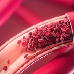 Cuidados simples ajudam a prevenir problemas circulatórios durante as festas