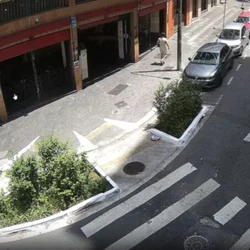 A identidade do suspeito ainda não foi divulgada, mas ele aparece nas imagens de câmeras de segurança carregando as obras para fora da biblioteca