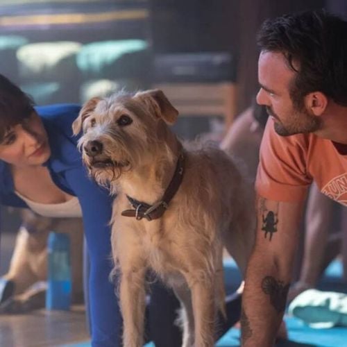 Imagem - Lançamentos: o que chega à Netflix, Disney+ e Prime Video de 8 a 14 de dezembro