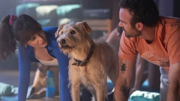 Prepare-se para rir, se emocionar e embarcar em perigosas aventuras com as novidades dos streamings