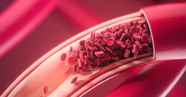 Cuidados simples ajudam a prevenir problemas circulatórios durante as festas