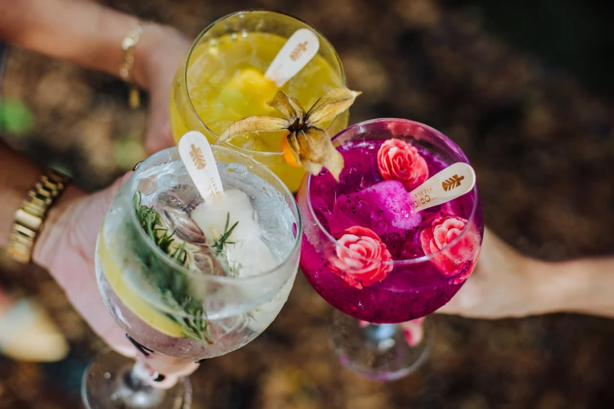 Picolés para drinques da Originalle 