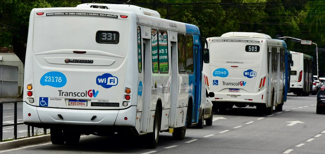 Consulta pode ser feita pela assistente virtual Céia, telefone, e-mail ou QR Code; documentos ficam guardados por até 60 dias