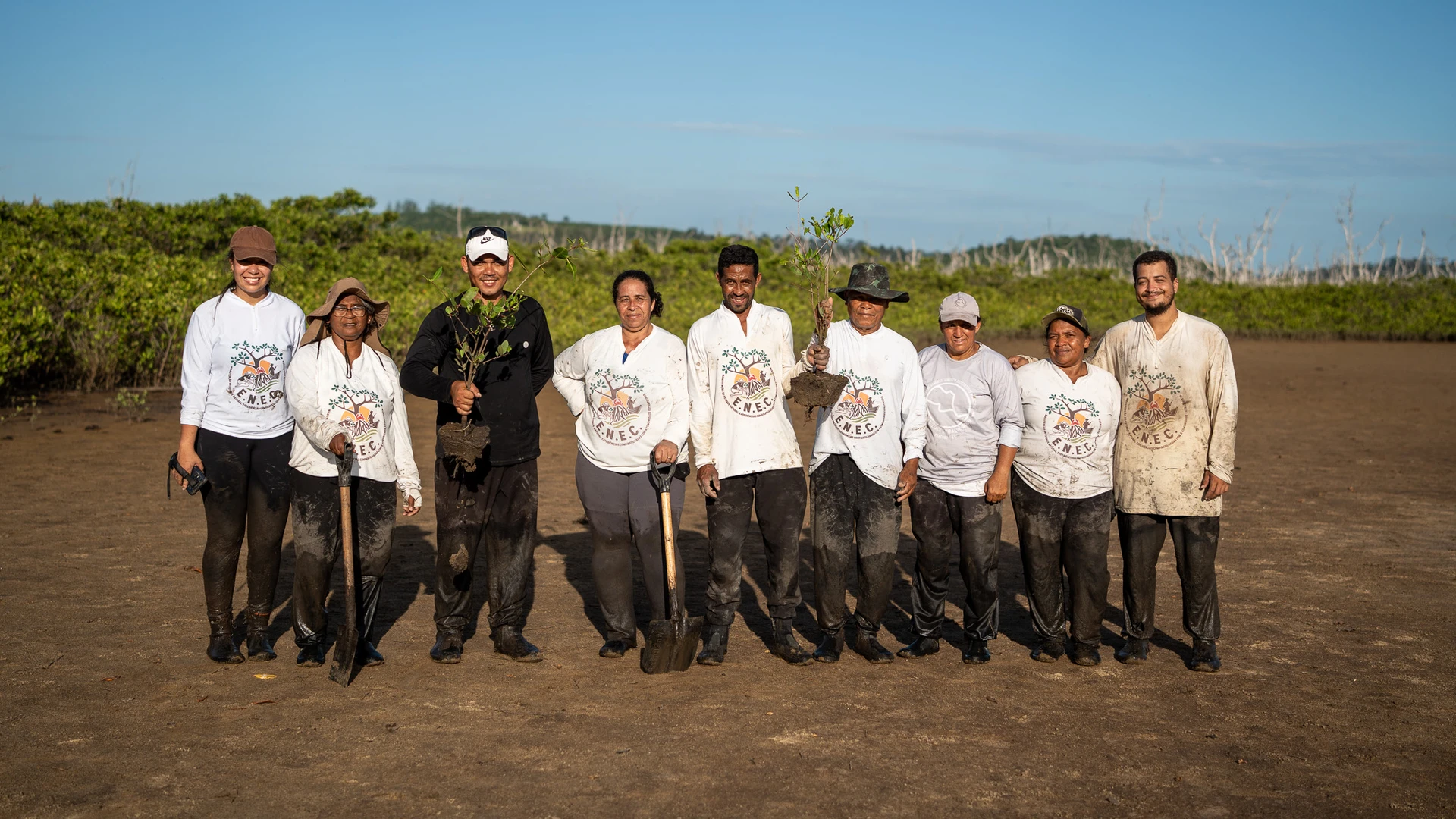 Pesquisadores e membros de comunidades indígenas e ribeirinhas de Aracruz se juntam para restaurar o manguezal