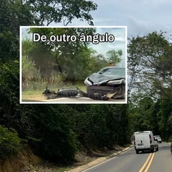 A colisão ocorreu na localidade de Sangalli e o piloto morreu ainda no asfalto