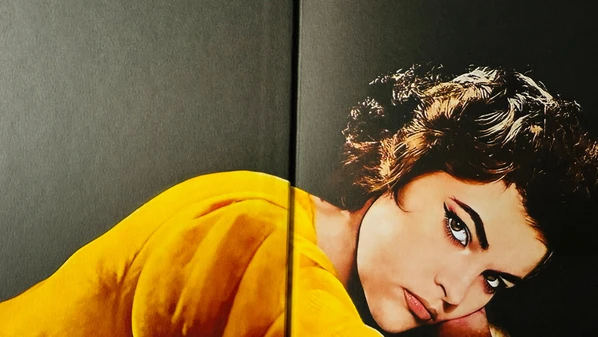 Obra traz fotos raras do acervo da família, manuscritos da cantora e reproduções de revistas das décadas de 1950 e 1960