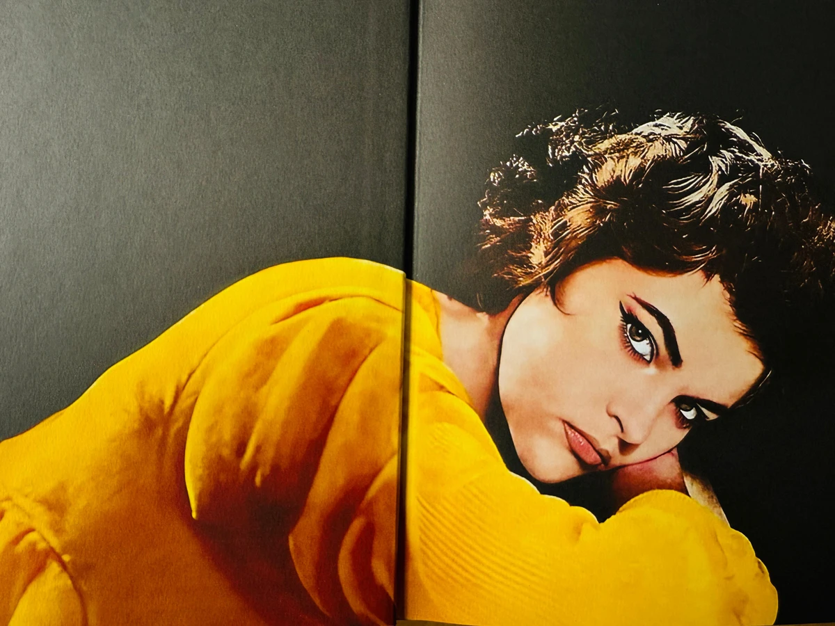 Página do livro com imagem de Maysa