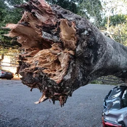 Na capital, a falha atinge 522.024 clientes, que reclamam da demora da Enel para retomar o fornecimento