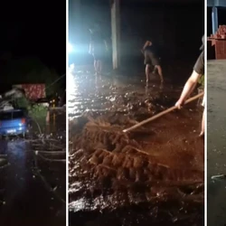 No dia 4 de novembro uma chuva forte causou danos à plantações de café e abacate no interior do município
