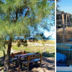 Percurso sinalizado permite explorar paisagens únicas e experiências à beira-mar