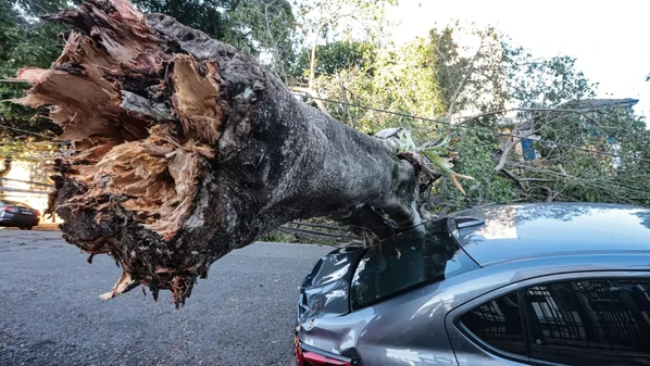 Na capital, a falha atinge 522.024 clientes, que reclamam da demora da Enel para retomar o fornecimento