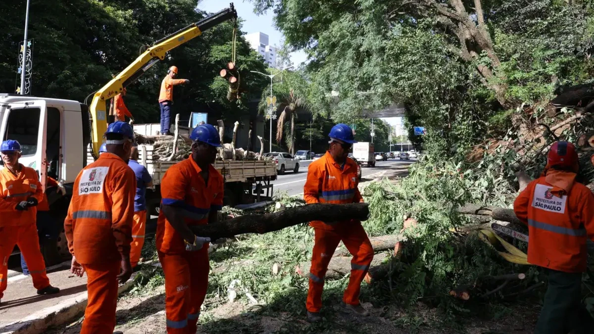 Ciclone derrubou diversas árvores na Capital paulista