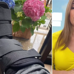 Ananda Apple, de 64 anos, foi afastada da emissora após a queda