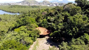 Ouça detalhes na entrevista com a secretária de Meio Ambiente do município, Isabela Igreja