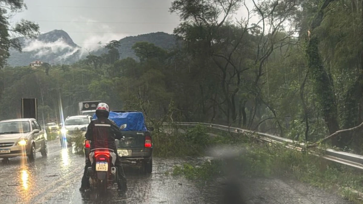 Tempestade causou danos em Venda Nova do Imigrante por Divulgação/Defesa Civil de Venda Nova do Imigrante