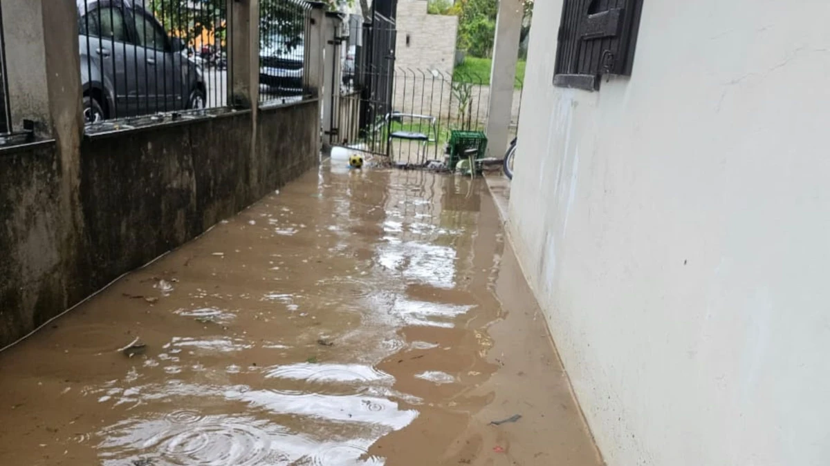 Tempestade causou danos em Venda Nova do Imigrante por Divulgação/Defesa Civil de Venda Nova do Imigrante