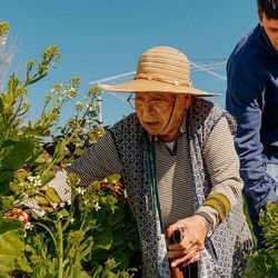A falta de tempo da vida moderna faz com que cada vez mais pessoas sejam sedentárias em todo o mundo. Mas estudos demonstraram nos últimos anos que aumentar por poucos minutos a intensidade das nossas tarefas diárias pode trazer importantes benefícios para a saúde.