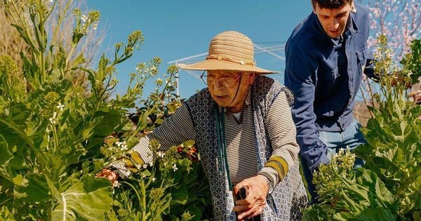 A falta de tempo da vida moderna faz com que cada vez mais pessoas sejam sedentárias em todo o mundo. Mas estudos demonstraram nos últimos anos que aumentar por poucos minutos a intensidade das nossas tarefas diárias pode trazer importantes benefícios para a saúde.