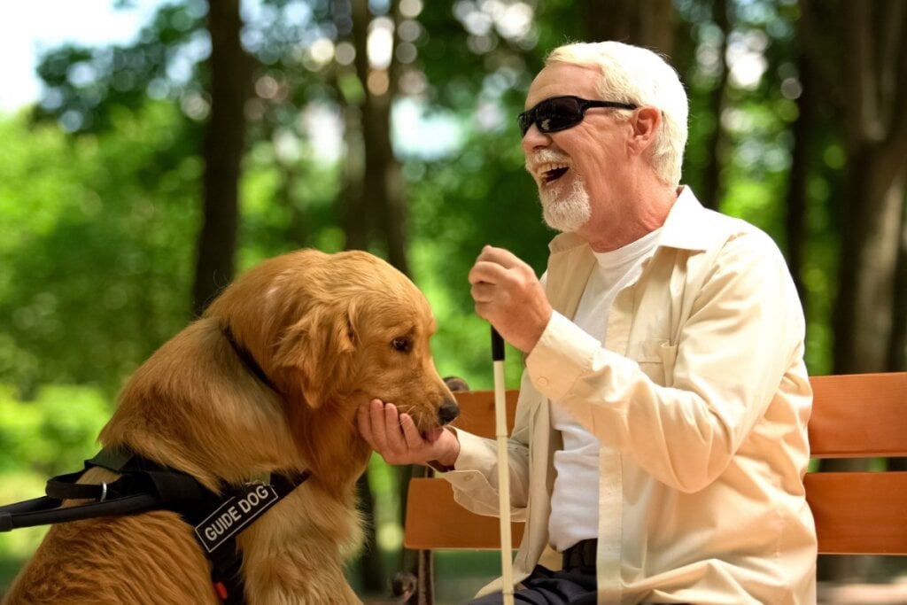 A defesa dos direitos das pessoas com deficiência visual está diretamente ligada à garantia de cidadania e dignidade (Imagem: Motortion Films | Shutterstock)