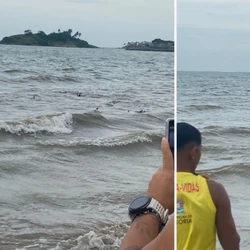 Os banhistas ficaram surpresos com as arraias bem próximas à areia, mas biólogo afirma que esse comportamento é comum