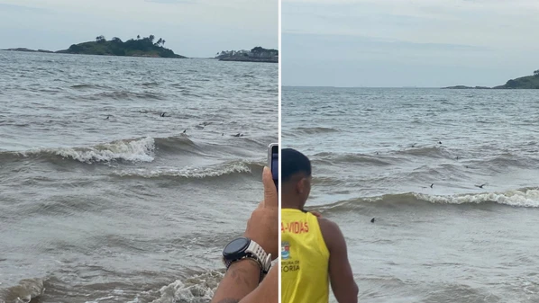Os banhistas ficaram surpresos com as arraias bem próximas à areia, mas biólogo afirma que esse comportamento é comum