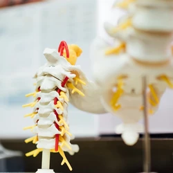 Homem se acidentou durante um evento de motocross no interior do Espírito Santo no dia 7 de dezembro. Medicamento aplicado ainda está em fase de pesquisas científicas