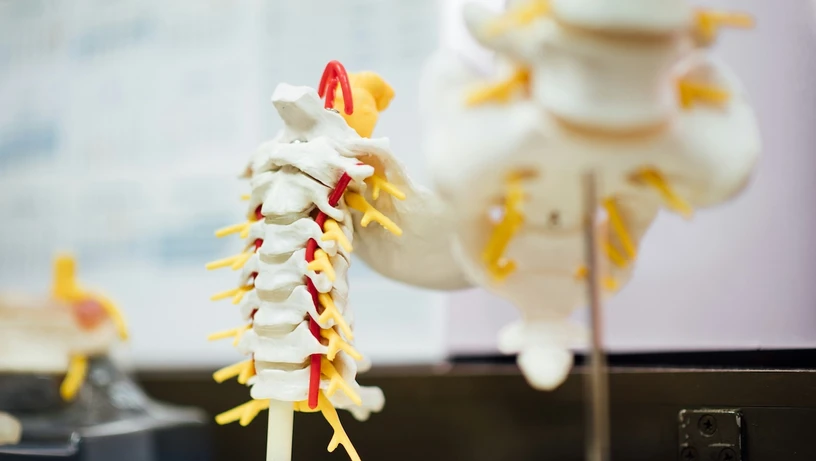 A Gazeta - 9x14tffn2q